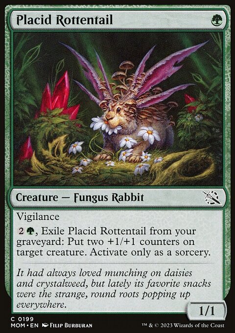 Placid Rottentail